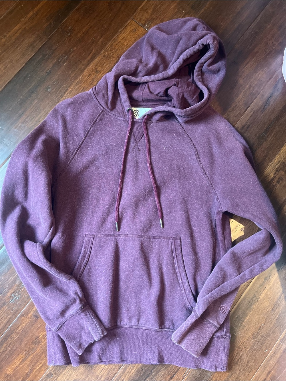 Champion Men's Hoodie in Plum